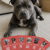 My Dog & Me Activity Card Deck
