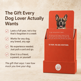 My Dog & Me Activity Card Deck
