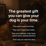 My Dog & Me Activity Card Deck