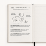 The Story of Us Journal